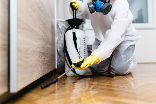 Best Flea Control Services  in Lmerton, PA